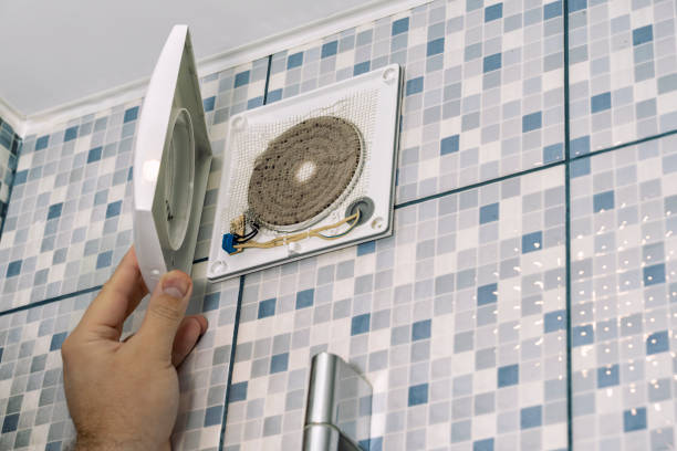 Best Ductwork Cleaning Services  in Bridgman, MI