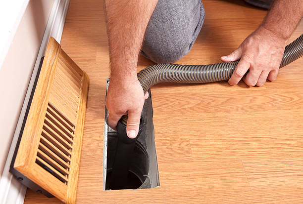 Best Air Duct Sanitizing Services  in Bridgman, MI