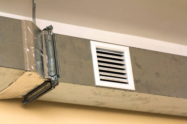 Best Home Air Vent Cleaning  in Bridgman, MI